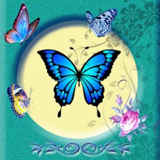 GIFT TAG Butterfly Beauty